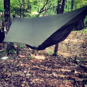 Warbonnet Blackbird Hammock