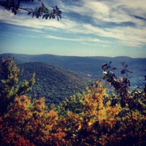 View of the Day! Hang Glider Veiw